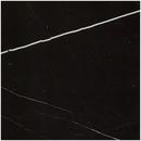 黑白根-BLACK&WHITE ROOT